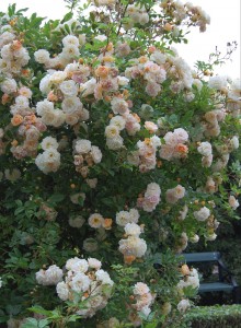 'Ghislaine de Féligonde'